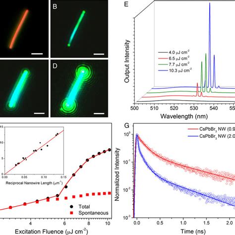 How lasing happens in CsPbBr 3 perovskite nanowires .